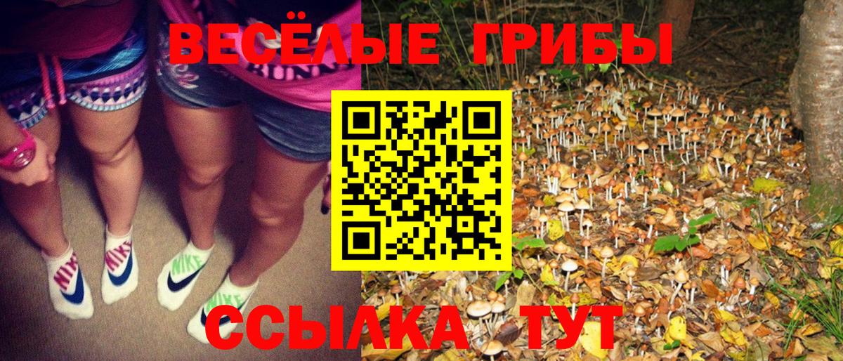 Алапаевск  Псилоцибиновые грибы прущие грибы  Псилоцибиновые грибы Magic Shrooms  Вход с VPN 